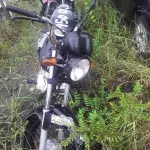 Foto 5