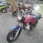Foto 6
