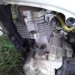 Foto 7