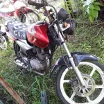 Foto 5