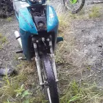 Foto 5