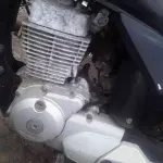 Foto 8