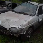 Foto 19