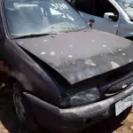 Foto 14