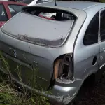 Foto 13