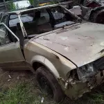 Foto 10
