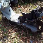 Foto 11