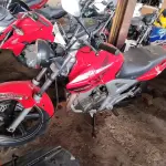 Foto 8