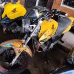 Foto 10