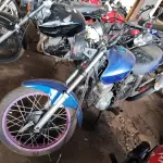 Foto 11