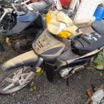 Foto 7