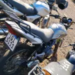 Foto 6