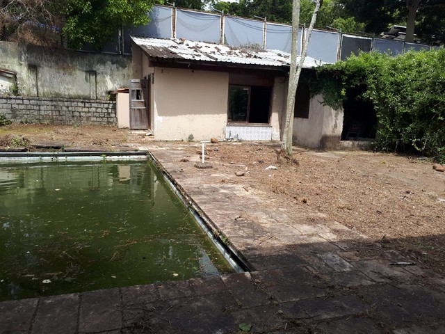 Foto 19