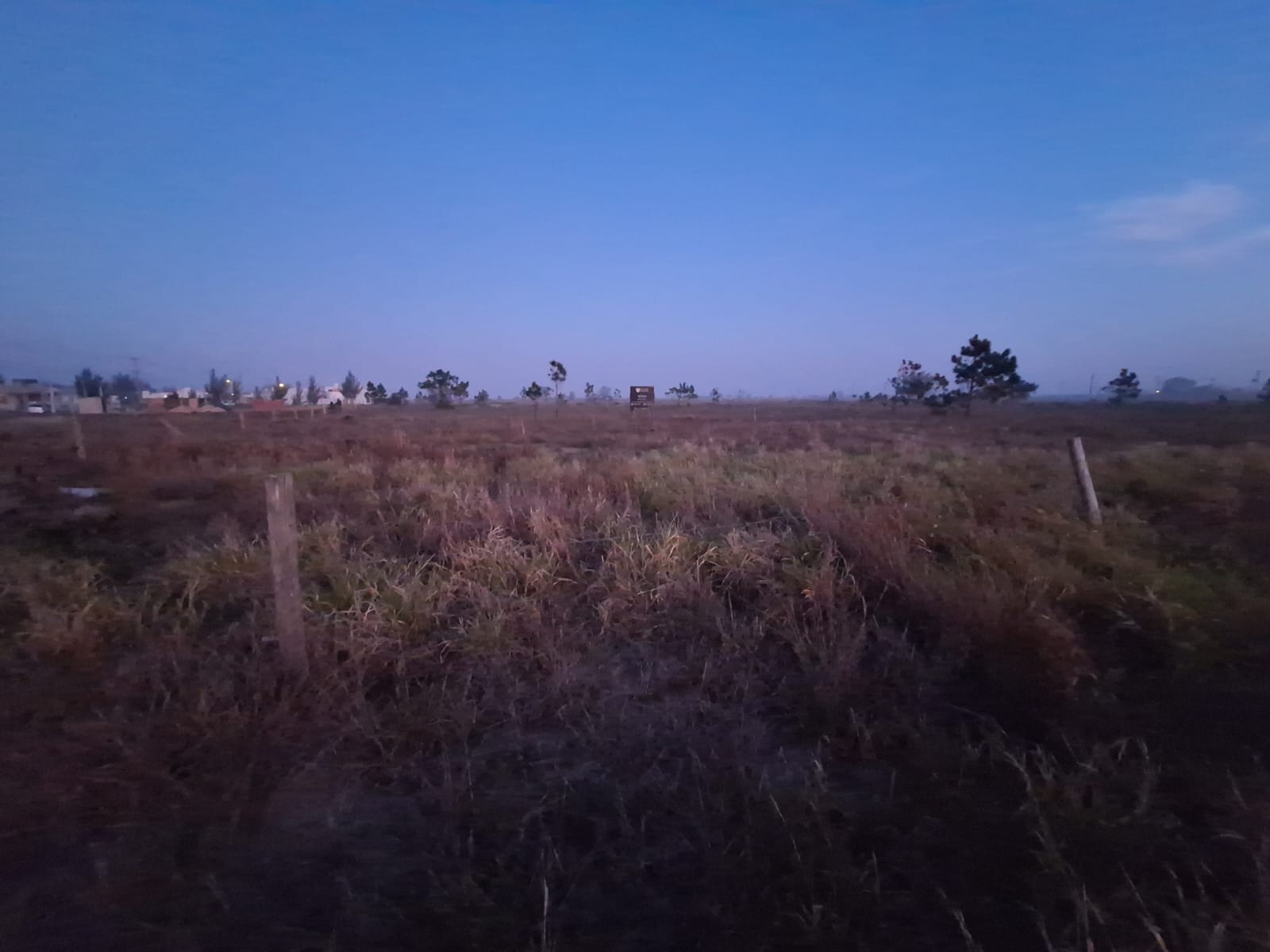 LOTE 002 - TERRA DE AREIA/RS - LOTE 6 DA QUADRA 18, SITUADO NA PRAIA AMARAGI