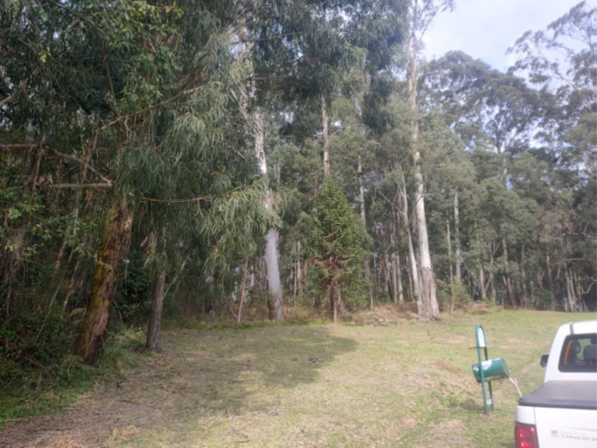 Foto 2