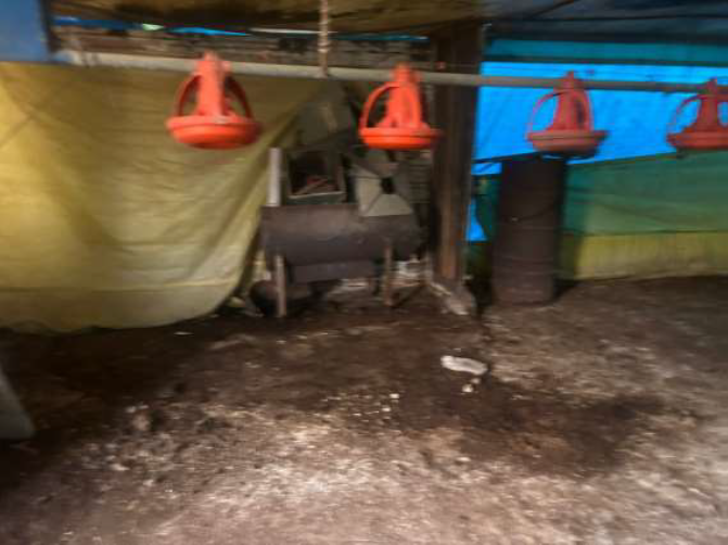 Foto 13