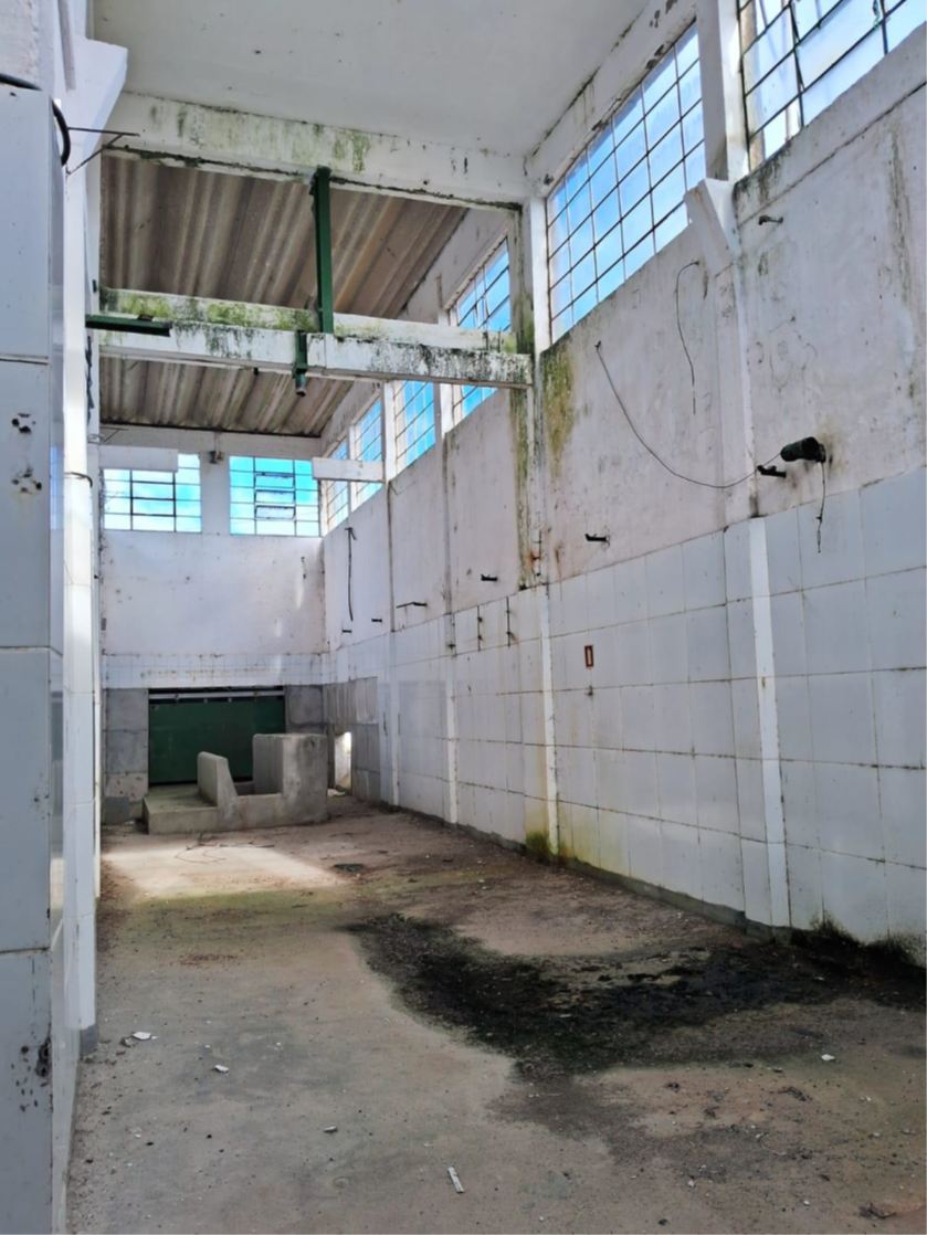 Foto 11