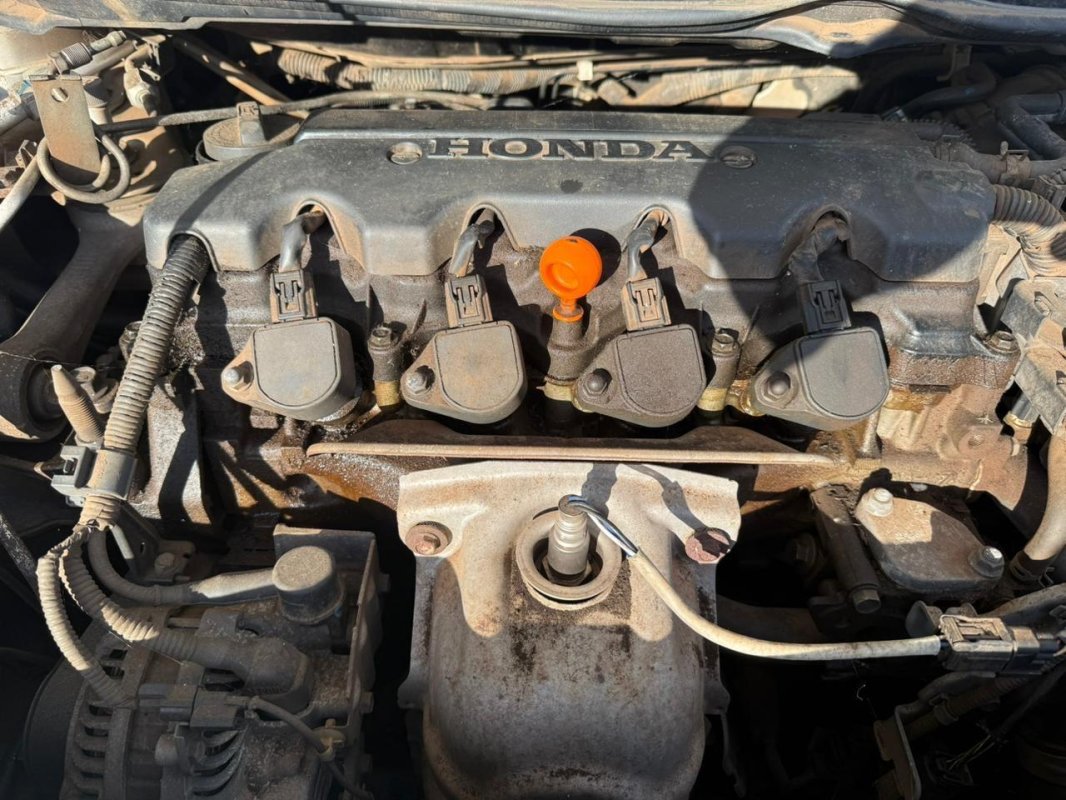 Foto 13